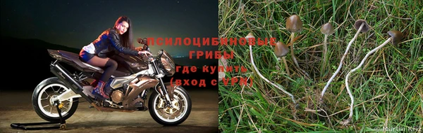 дурь Баксан