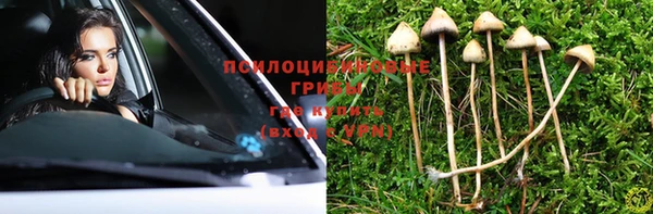прущая мука Балахна
