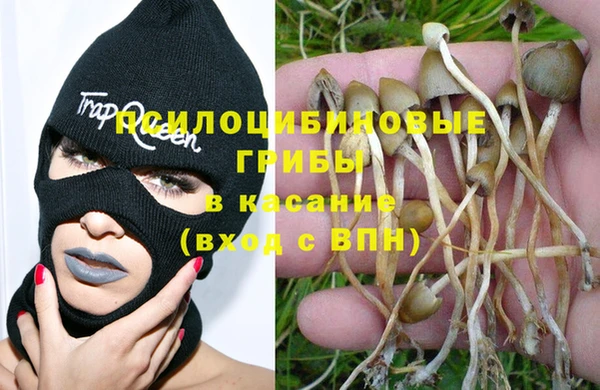 прущая мука Балахна