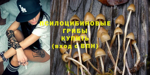 mix Аркадак