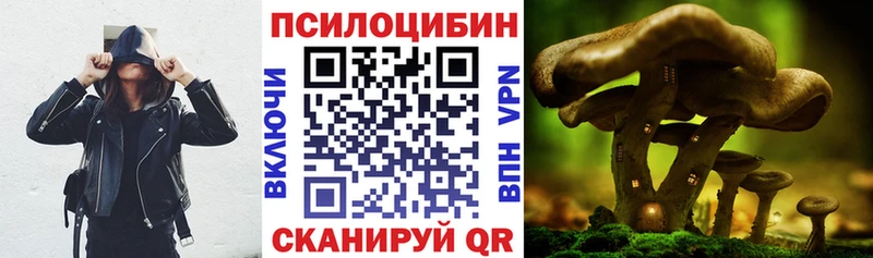 Галлюциногенные грибы Psilocybine cubensis  Хадыженск 